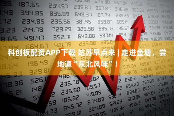 科创板配资APP下载 姑苏早点来 | 走进金塘，尝地道“东北风味”！