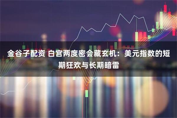 金谷子配资 白宫两度密会藏玄机：美元指数的短期狂欢与长期暗雷